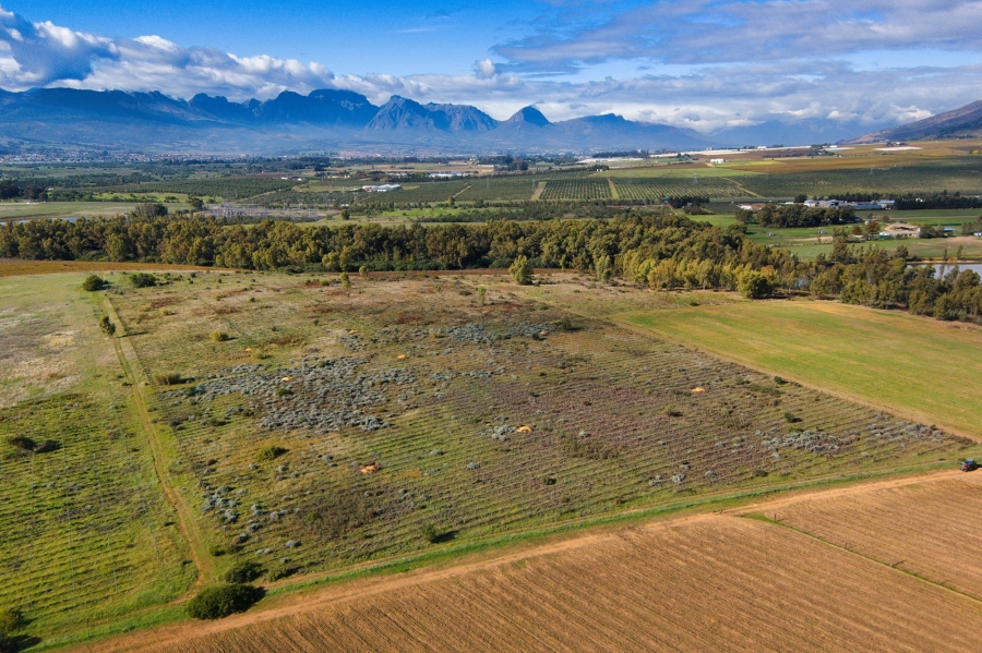 0 Bedroom Property for Sale in Windmeul Western Cape